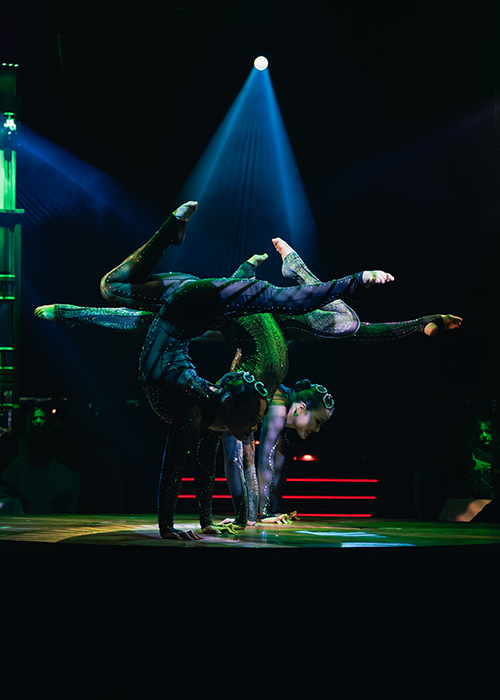 Mongolische Contortion